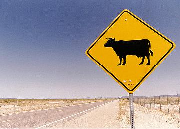 科隆：《帝国时代4》免费周年更新预告 10月25日上线