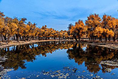  重返战场！再战War3二十周年庆典活动即将开启